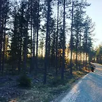 Family Skylight 豪华帐篷
