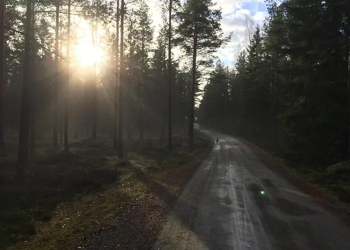 Family Skylight 豪华帐篷 *