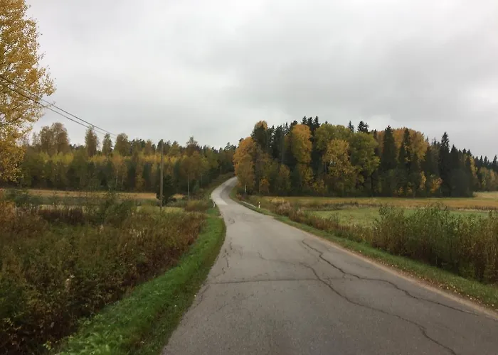 Family Skylight Laitila